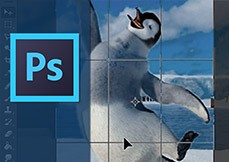 Curso Photoshop CC Básico